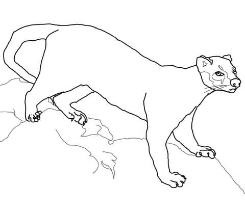 Fossa Coloring page