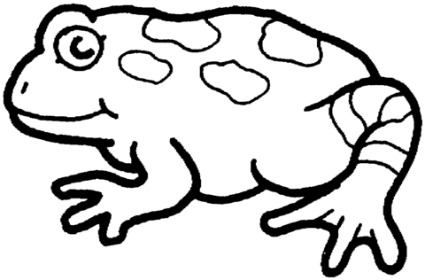 Frog 11 Coloring page