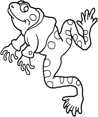 Frog 14 Coloring page