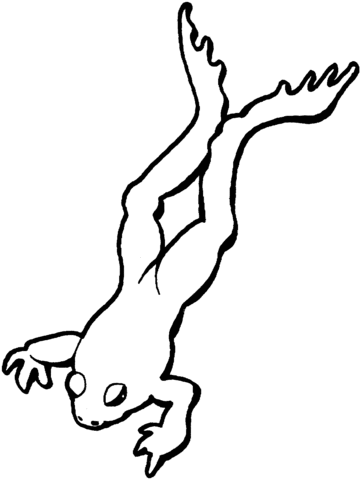 Hopping Frog Coloring page