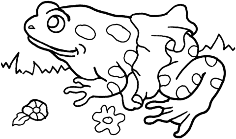 Frog 16 Coloring page