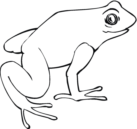 Frog 18 Coloring page