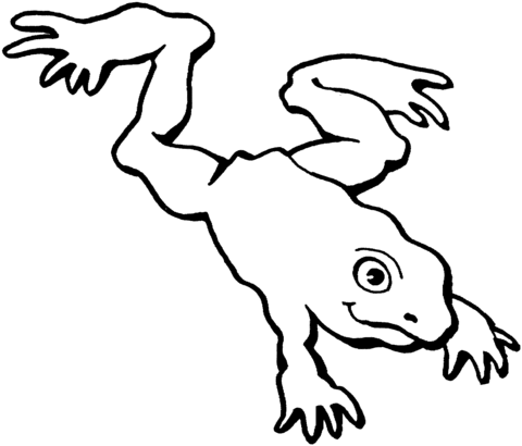 Frog 3 Coloring page