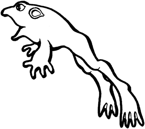 Jumping Frog Coloring page