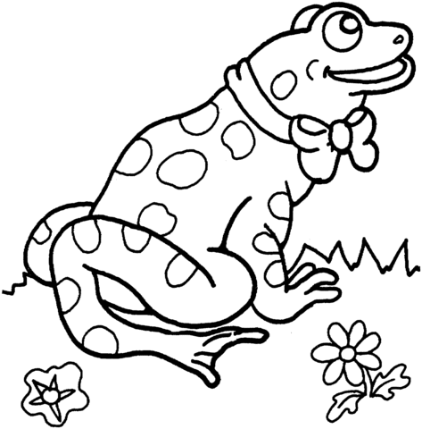 Frog 5 Coloring page