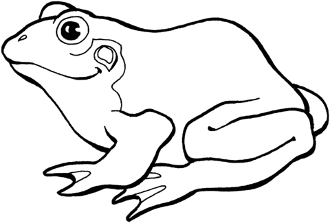 Frog 8 Coloring page