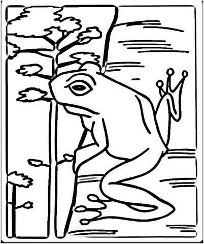 Frog on the Tree  Coloring page
