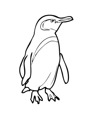 Galapagos Penguin Coloring page