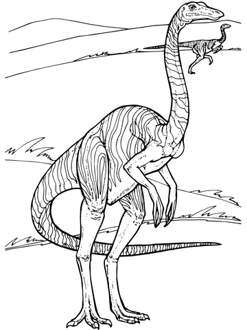 Gallimimus Dinosaur Coloring page