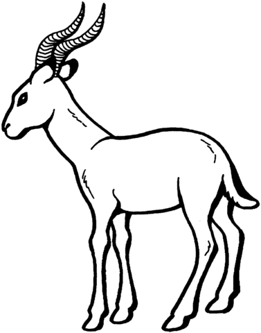 Gazelle 2 Coloring page