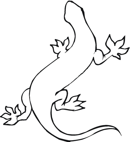 Gecko Coloring page