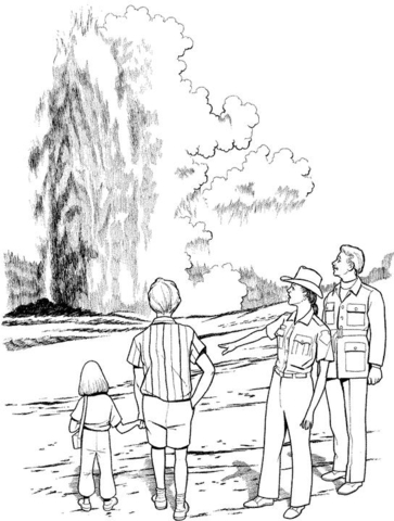 Geyser In Yellowstone National Park  Coloring page