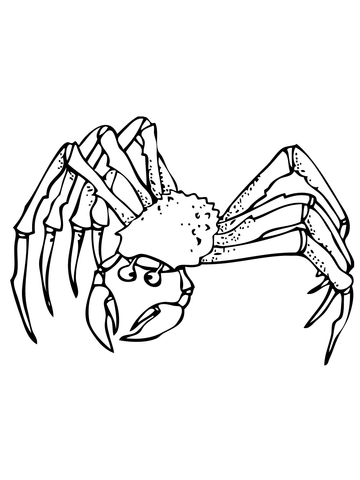 Ghost Crab Coloring page