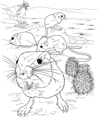 Giant Kangaroo Rats Coloring page