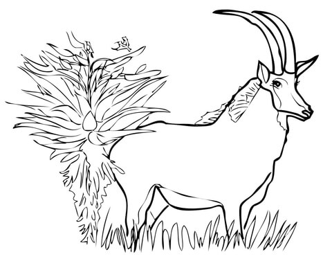 Giant Sable Antelope Coloring page