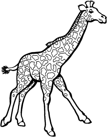 Giraffe 1 Coloring page