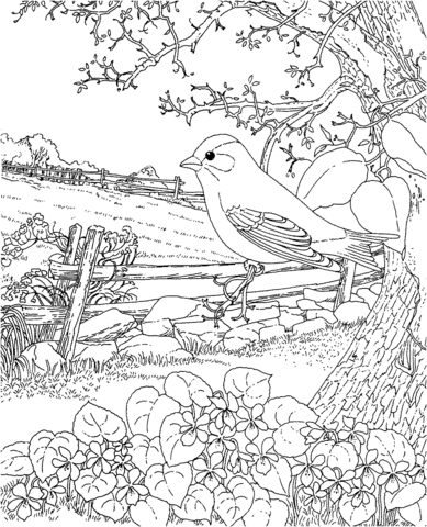 Goldfinch and Blue Violet New Jersey State Bird Coloring page