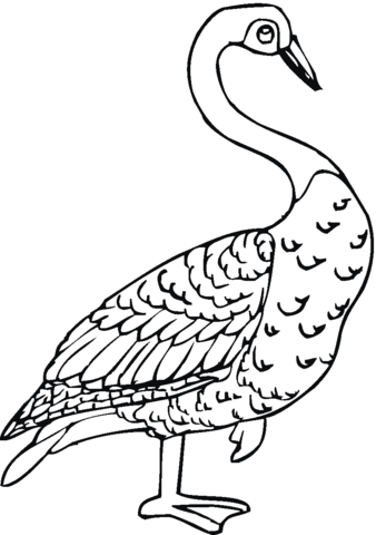 Goose 3 Coloring page