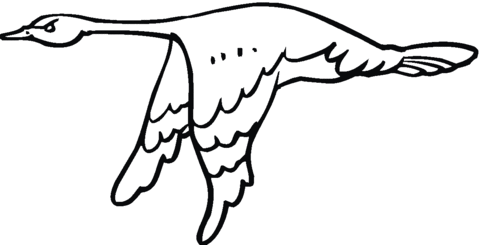Goose Flying Coloring page