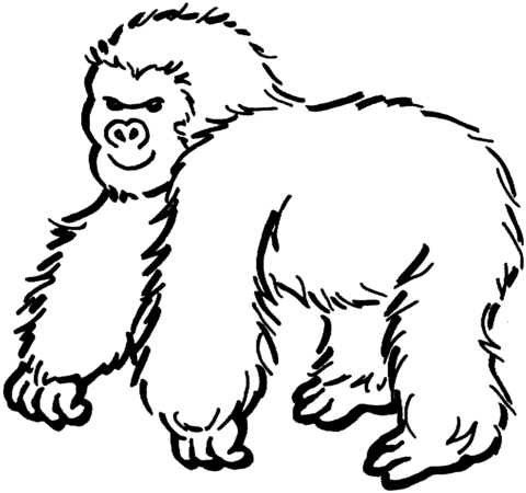 Gorilla 1 Coloring page