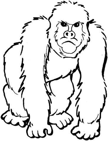 Gorilla 2 Coloring page