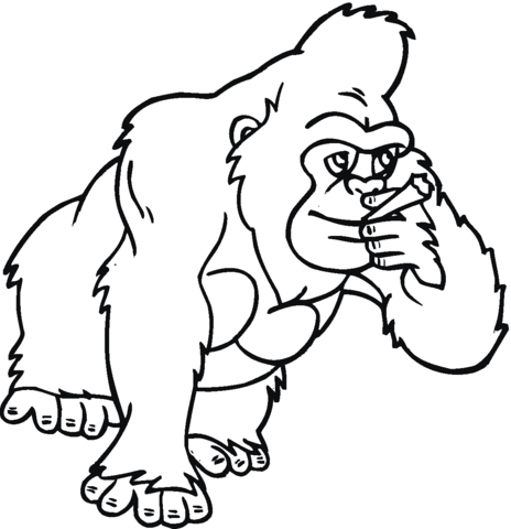 Gorilla primate Coloring page