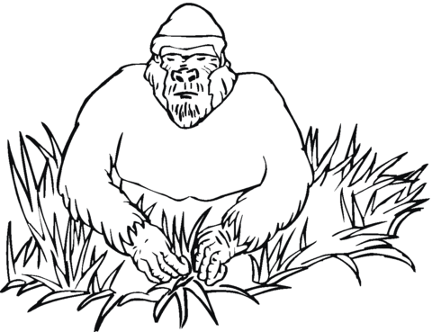 Gorilla In Grass Coloring page