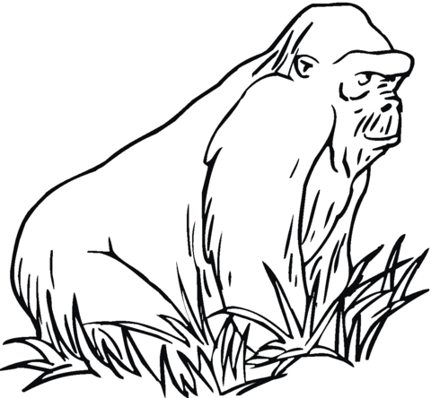 Gorilla On The Grass Coloring page