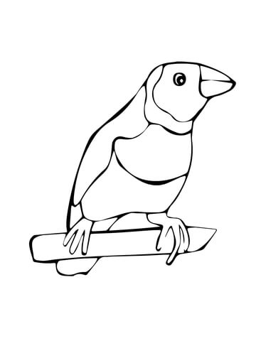 Gouldian Finch Bird Coloring page