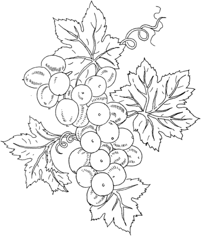 Grape 10 Coloring page
