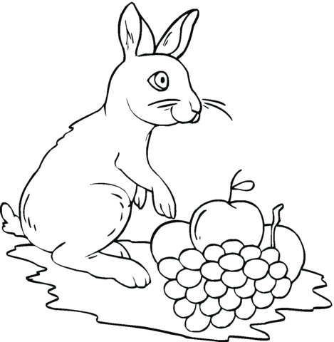 Rabbit and Grape  Coloring page