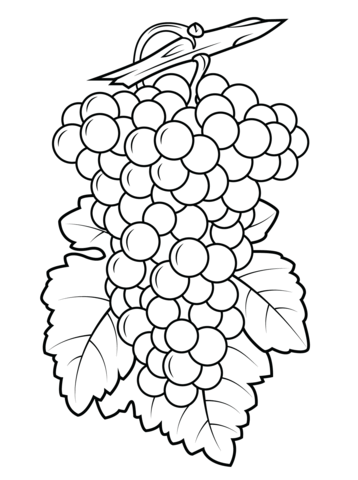 Grapes Coloring page