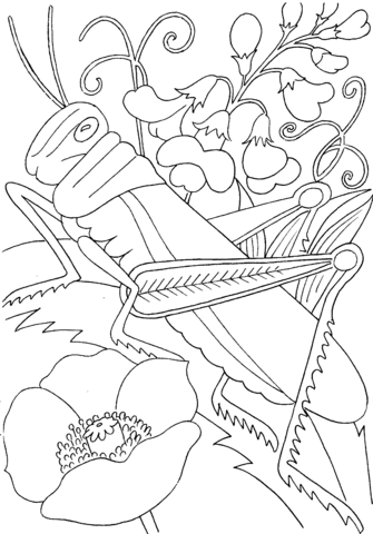 Grasshopper Among Flowers  Coloring page