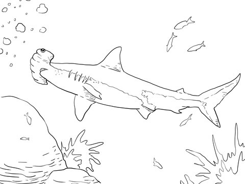 Great Hammerhead Shark Coloring page