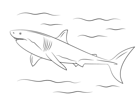 Great White Shark Coloring page