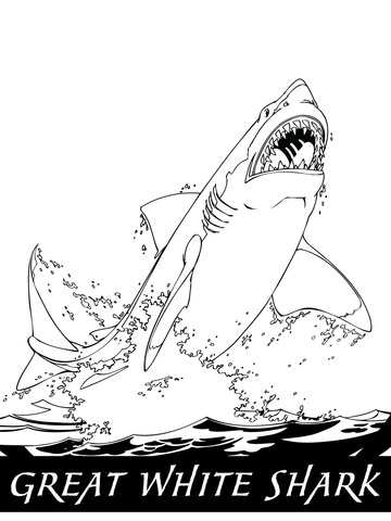Great White Shark Jumping Out of the Water Coloring page