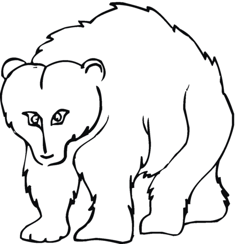 Cartoon Grizzly Bear Coloring page