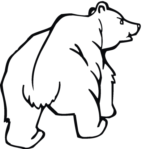 Grizzly Bear 7 Coloring page