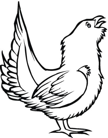 Grouse Bird  Coloring page