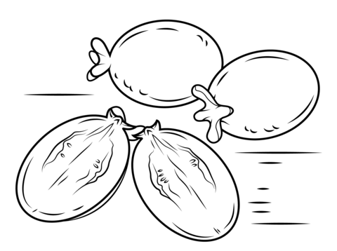 Guava Fruits Coloring page