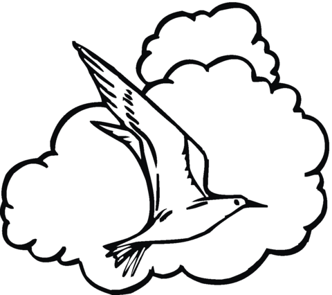 Seagull In The Sky Coloring page