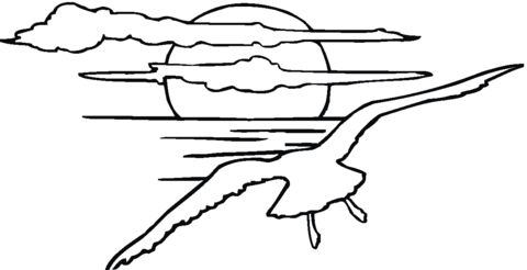 Seagull In the Sunset Coloring page