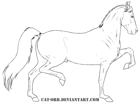 Hackney Horse Coloring page