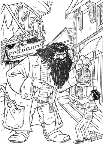 Hagrid Offers Parrot To Harry Potter  Coloring page