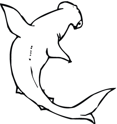 Hammerhead Shark 14 Coloring page
