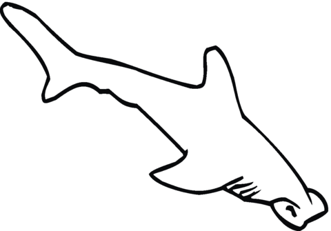 Hammerhead Shark 5 Coloring page