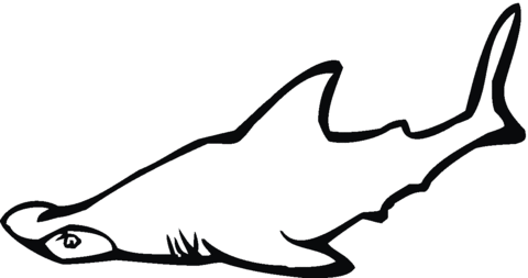 Hammerhead Shark 9 Coloring page