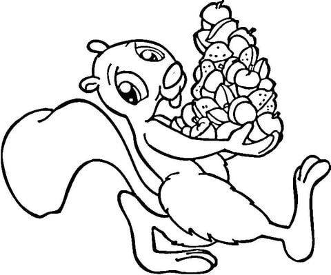 Squirrel with acorns Coloring page