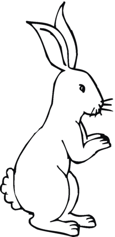 Hare 10 Coloring page