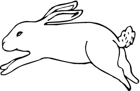 Running Jack Rabbit Coloring page